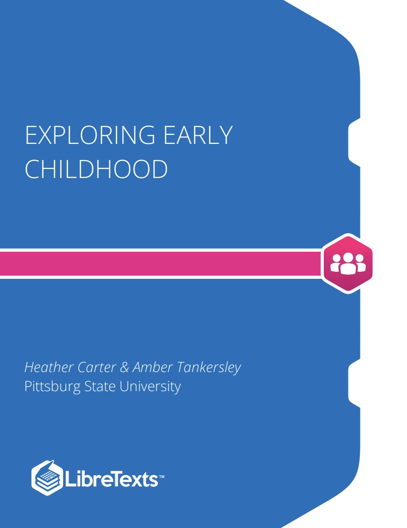 Read more about Exploring Early Childhood: Programs, Practices and the Profession