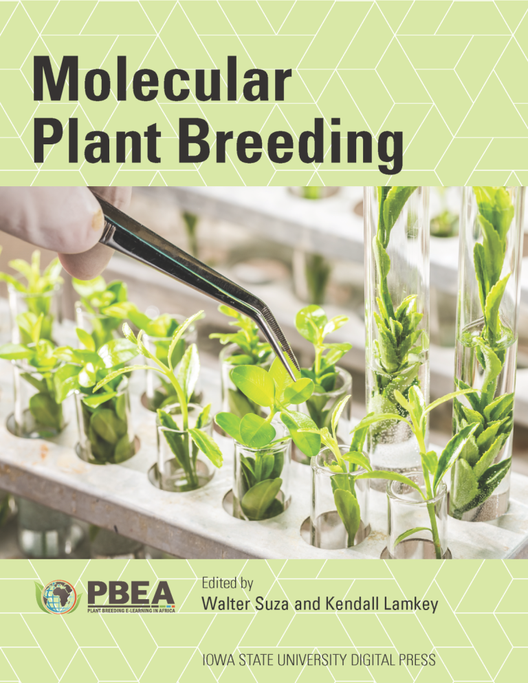 Read more about Molecular Plant Breeding