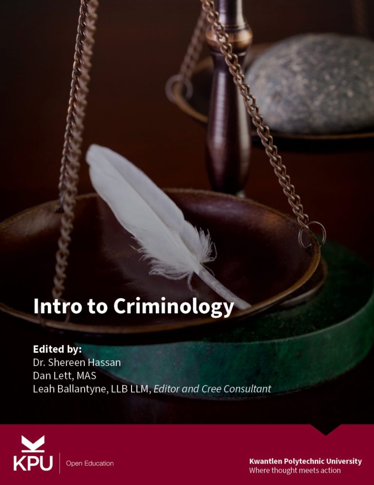criminology master thesis