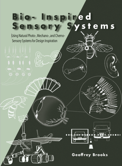 Read more about Bio-Inspired Sensory Systems