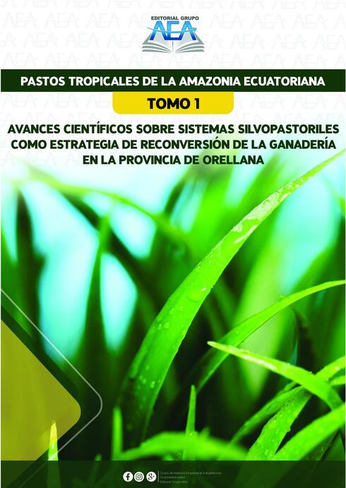 Read more about Pastos Tropicales de la Amazonia Ecuatoriana Tomo I: Avances científicos sobre sistemas silvopastoriles como estrategia de reconversión de la ganadería