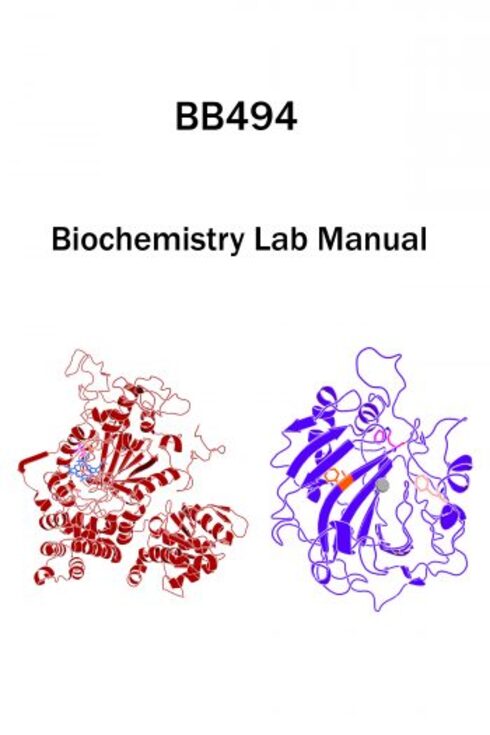 Read more about Chemical Biology & Biochemistry Laboratory Using Genetic Code Expansion Manual