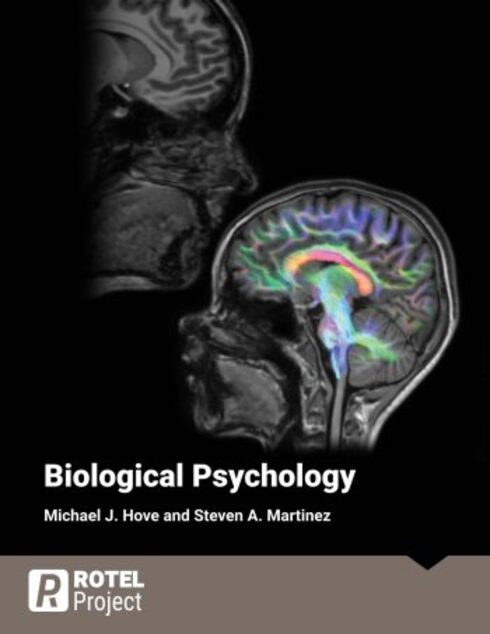 Read more about Biological Psychology