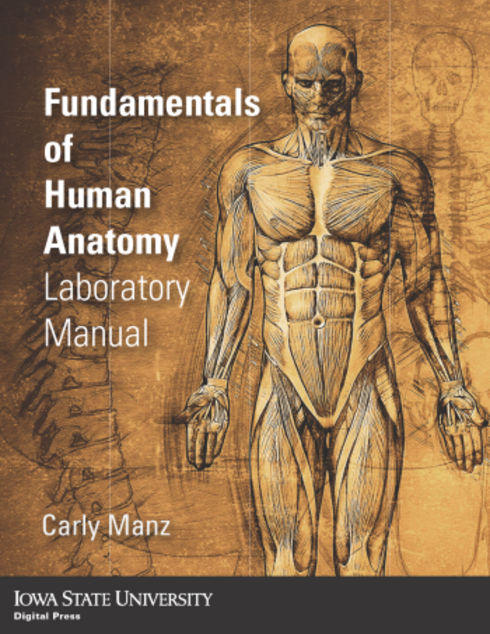 Read more about Fundamentals of Human Anatomy Laboratory Manual