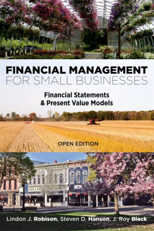 Read more about Financial Management for Small Businesses: Financial Statements & Present Value Models
