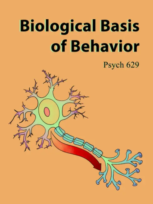 Read more about Biological Basis of Behavior