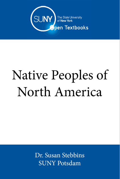 State of the art of indigenous languages in research: a collection of  selected research papers