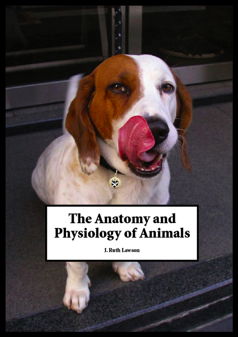 Read more about Anatomy and Physiology of Animals