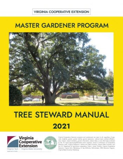 Tree Steward Manual cover image Read more about Tree Steward Manual
