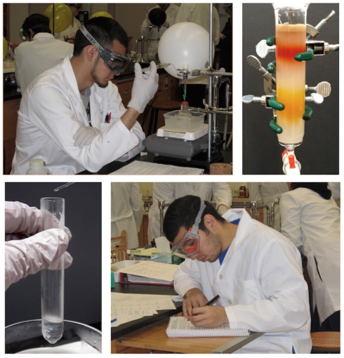 Read more about Organic Chemistry Laboratory Techniques