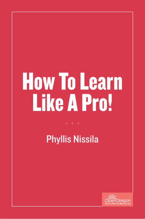 Read more about How to Learn Like A Pro