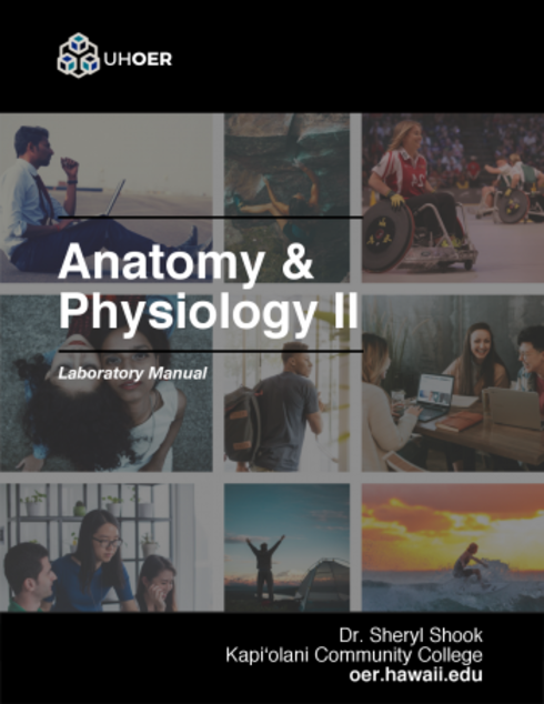 Read more about Anatomy and Physiology 2 Lab Manual