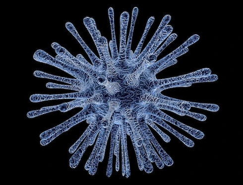 Read more about Microbiology