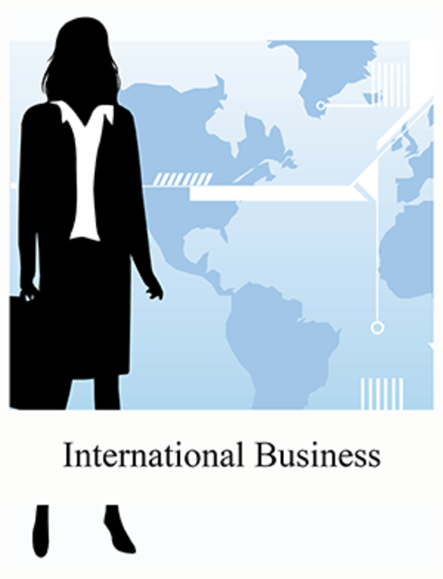 Executive Summary - INTERNATIONAL BUSINESS STRATEGY OF LOUIS