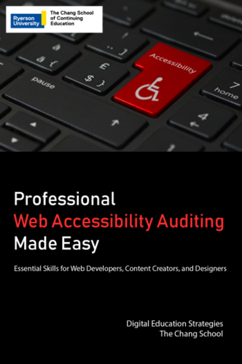 Read more about Professional Web Accessibility Auditing Made Easy