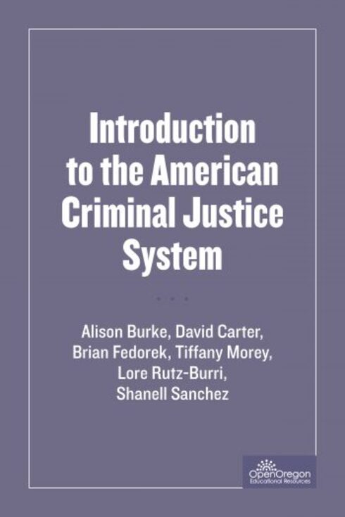 Read more about Introduction to the American Criminal Justice System