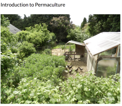 Read more about Introduction to Permaculture