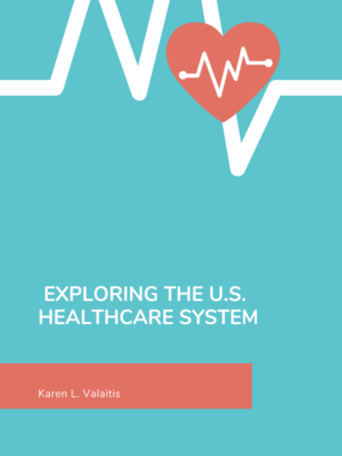 Read more about Exploring the U.S. Healthcare System