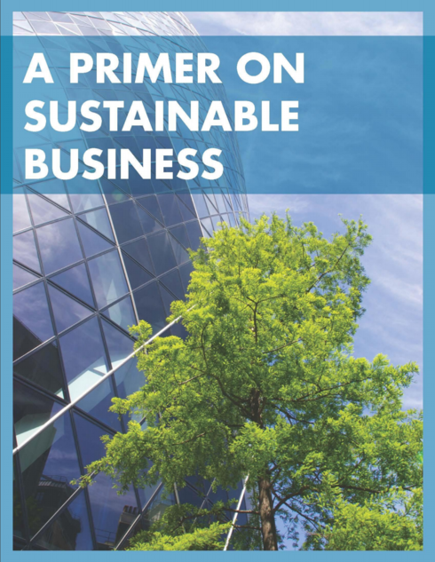 Read more about A Primer on Sustainable Business