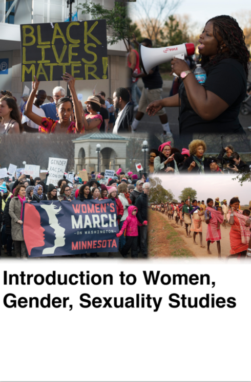 Read more about Introduction to Women, Gender, Sexuality Studies