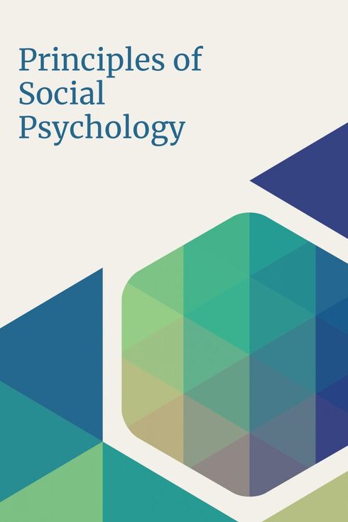 Principles of Social Psychology cover image Read more about Principles of Social Psychology