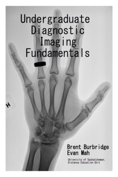 Read more about Undergraduate Diagnostic Imaging Fundamentals