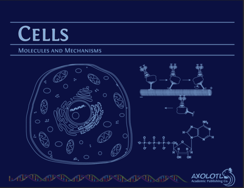 Read more about Cells: Molecules and Mechanisms