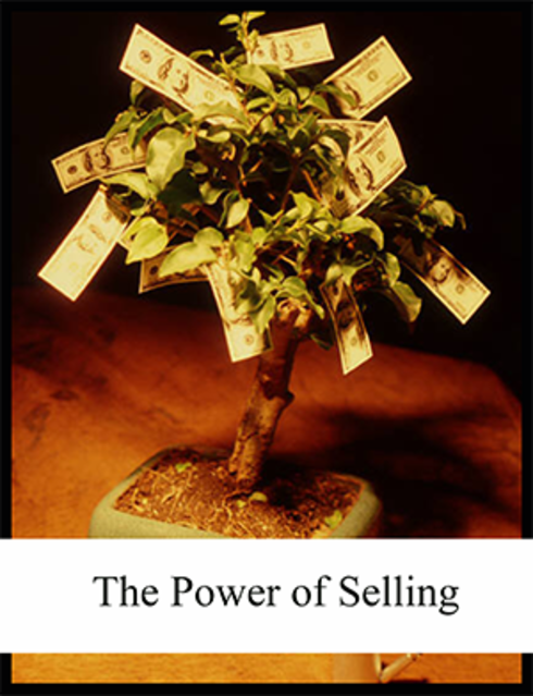 Read more about The Power of Selling