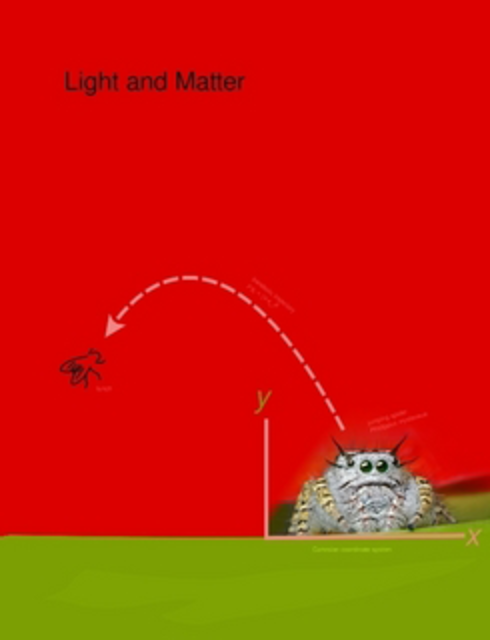 Optimal Slikke radar Light and Matter - Open Textbook Library